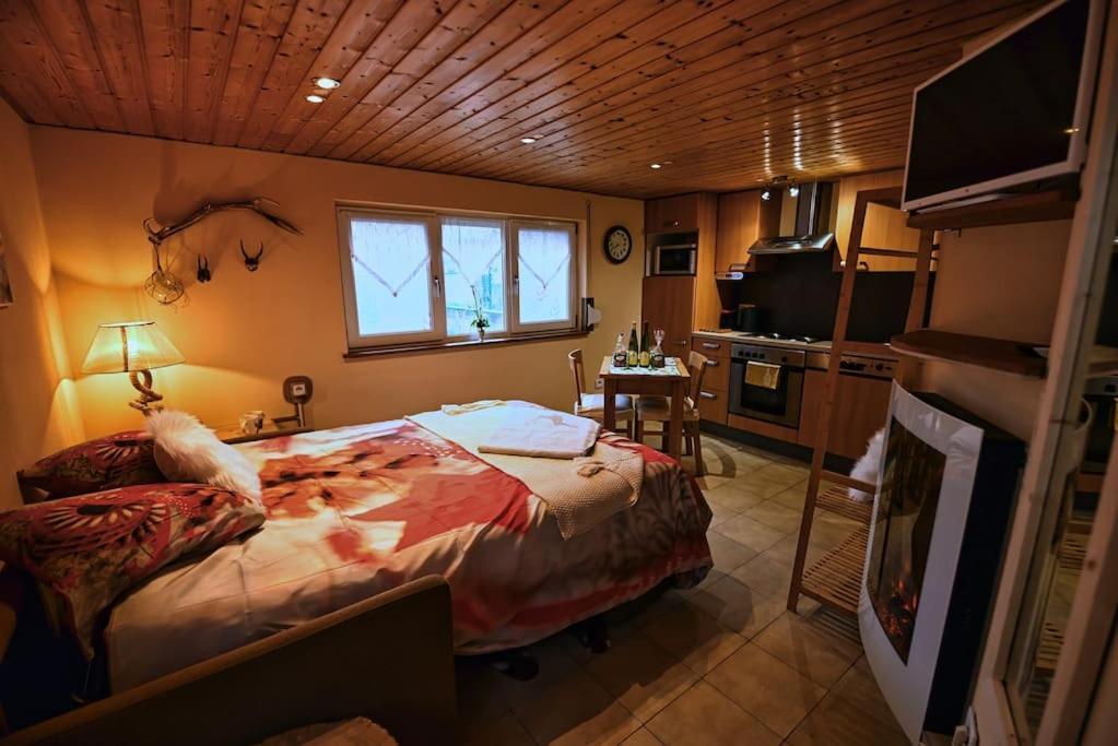Apartamento Les Chouchous Du Ried 3 / Proche Europapark Saasenheim Exterior foto
